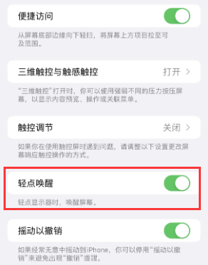 罗甸苹果授权维修站分享iPhone轻点无法唤醒怎么办 