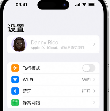 罗甸appleID维修服务iPhone设置中Apple ID显示为灰色无法使用 