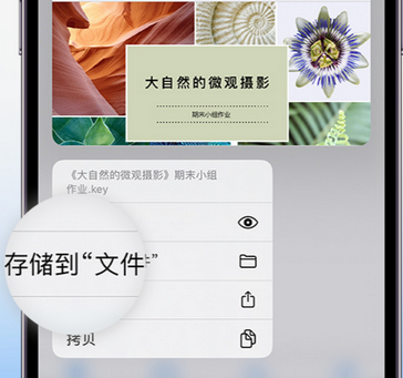 罗甸apple维修中心分享iPhone文件应用中存储和找到下载文件