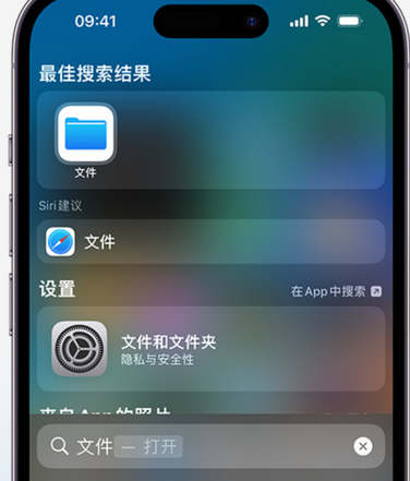 罗甸apple维修中心分享iPhone文件应用中存储和找到下载文件