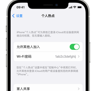 罗甸apple服务站点分享iPhone上个人热点丢失了怎么办 