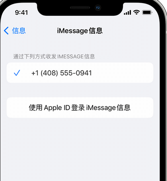 罗甸apple维修iPhone上无法正常发送iMessage信息 