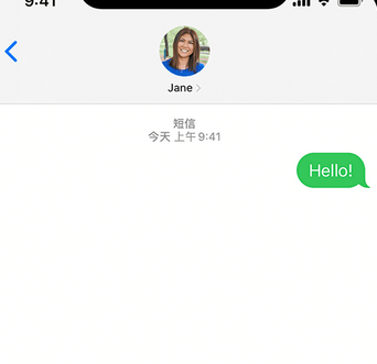 罗甸apple维修iPhone上无法正常发送iMessage信息