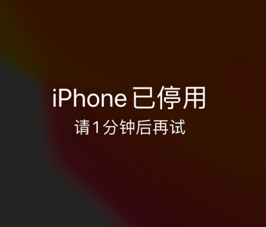 罗甸苹果手机维修分享:iPhone 显示“不可用”或“已停用”怎么办？还能保留数据吗？ 