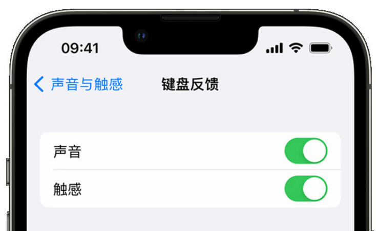 罗甸苹果手机维修分享iPhone 14触感键盘使用方法 