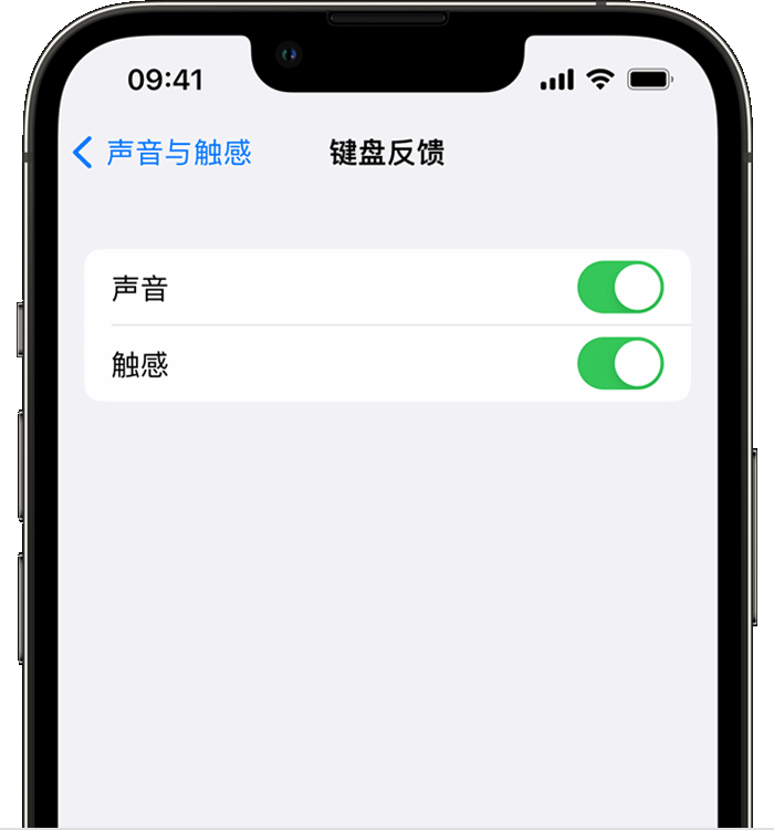 罗甸苹果14维修店分享如何在 iPhone 14 机型中使用触感键盘 