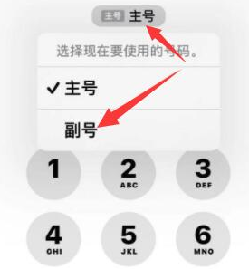 罗甸苹果14维修店分享iPhone 14 Pro Max使用副卡打电话的方法 