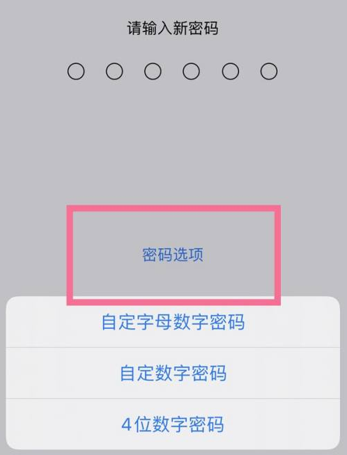 罗甸苹果14维修分享iPhone 14plus设置密码的方法 