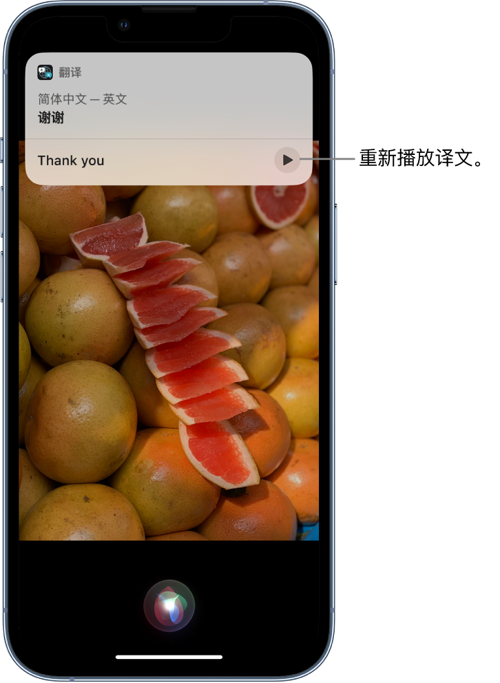 罗甸苹果14维修分享 iPhone 14 机型中使用 Siri：了解 Siri 能帮你做什么 