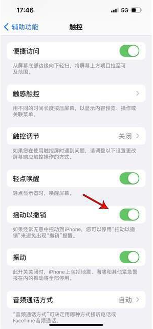 罗甸苹果手机维修分享iPhone手机如何设置摇一摇删除文字 