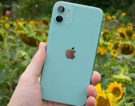 罗甸苹果维修点分享iPhone 11锁屏密码认知与使用科普 